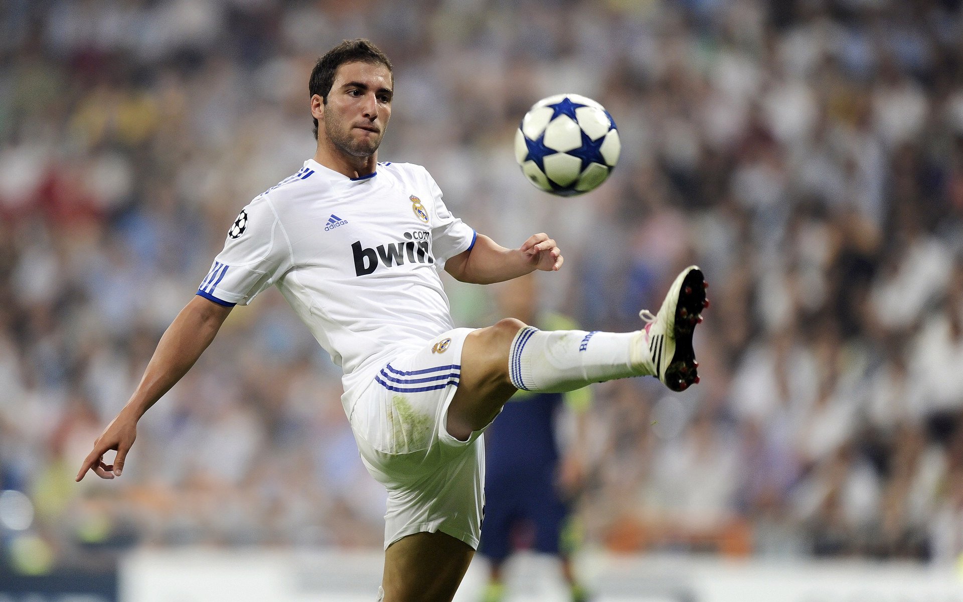 星空电竞平台-国足球队心理状态动态追踪，国足行为